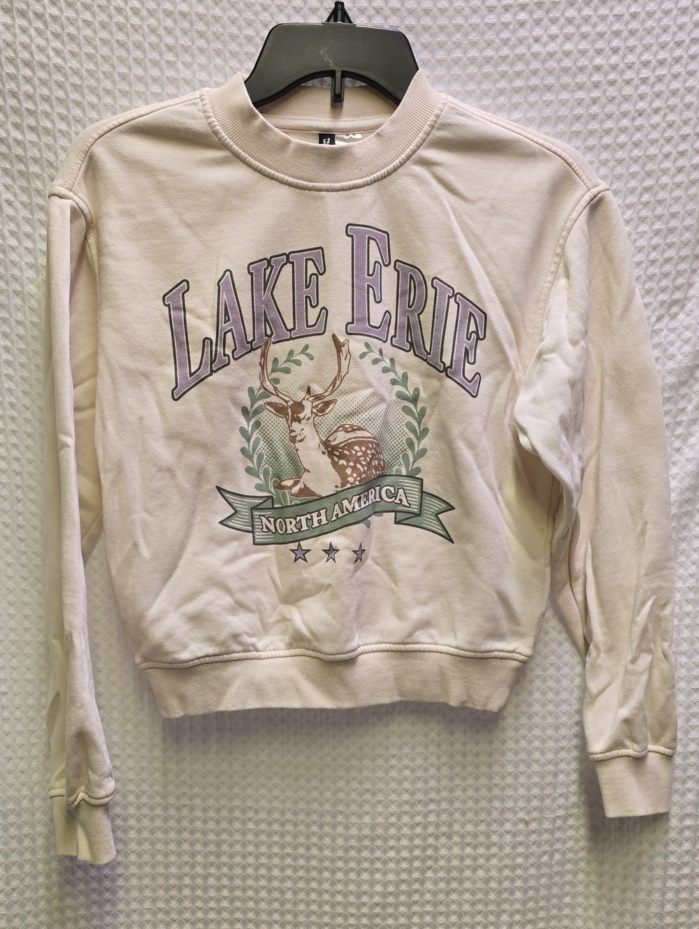 H&M Divided Cream Lake Erie Crewneck Sweatshirt XS